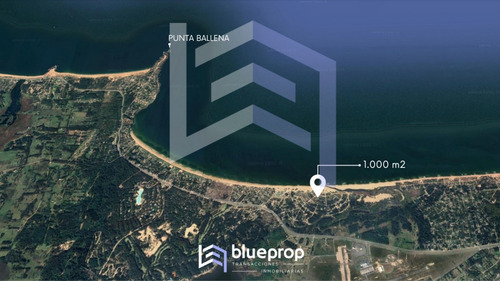 Terreno En Venta A Sólo 100 Metros Del Mar En Zona De Chihuhua. Punta Ballena.