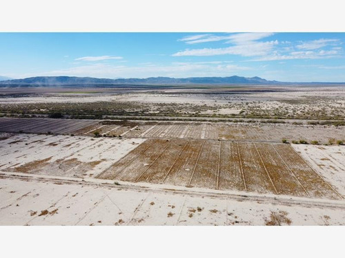 Terreno Industrial En Venta San Francisco De Horizonte (horizonte)