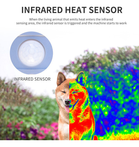 El Dispositivo De Sonido Asusta A Los Gatos, A Los Perros, P