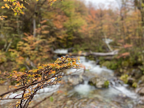 Parcela En Venta En Coyhaique