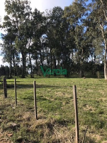Imagen 10 de 14 de Chacras De 3 Has Sobre Ruta 11 - Balnearios Parque Del Plata
