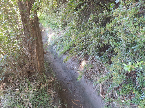 Parcela En Camino Loreto, Lonquén. Excelente Ubicación