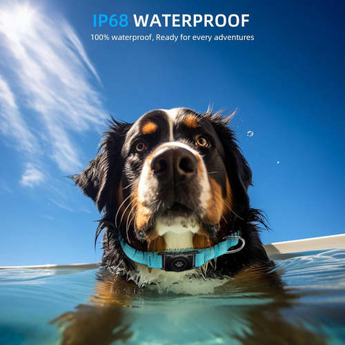 Airtag - Collar De Perro, Resistente Al Agua Ip68, Soporte P