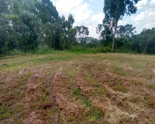 Chácara 5.000 M² - Lomba Grande - Novo Hamburgo - Rs - 1438 - 32419959