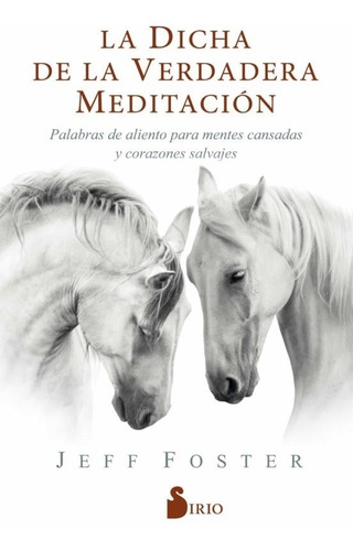 La Dicha De La Verdadera Meditación