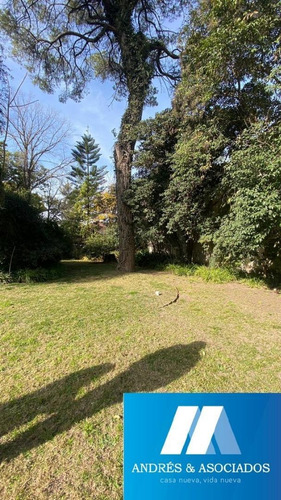 Imagen 5 de 6 de Venta Lote, Bella Vista