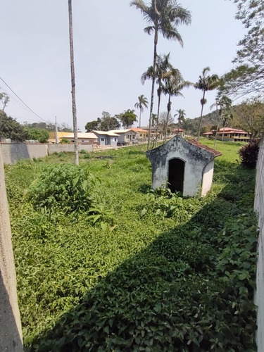 Imagem 6 de 14 de Terreno 250m² No Centro De São Lourenço Da Serra