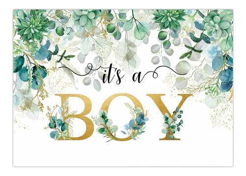 7x5ft Its Boy     Backdrop Succulent And Eucalyptus Lea...