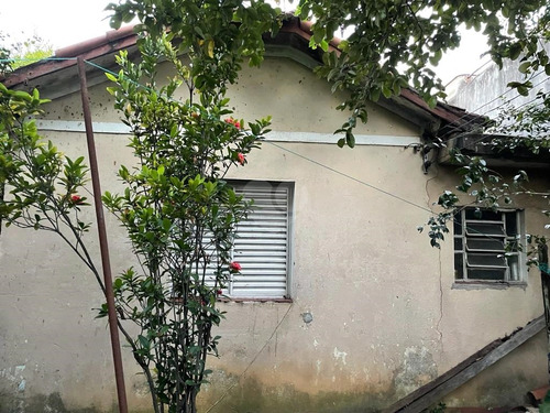 Imagem 10 de 12 de Terreno Plano Com 2 Casas À Venda Na Vila Jaguará- 12001