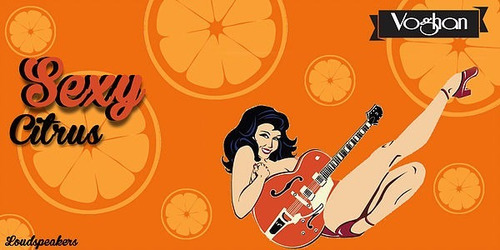 Imagem 4 de 4 de Alto Falante 12 Guitarra 55w 8 Ohms Voghan-sexy Citrus