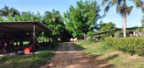 Te Vendo Hermosa Finca Bayaguana