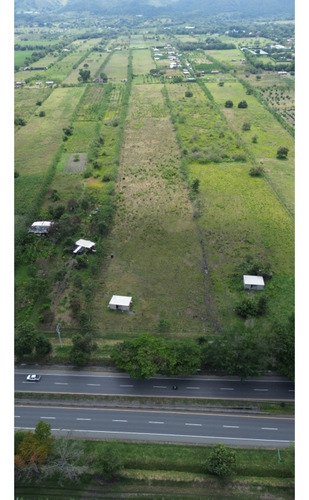 Se Vende Casa Lote En San Pedro - Valle Del Cauca