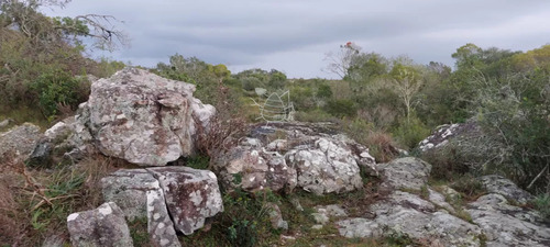 Campo En Carape Son 42 Hs 2293 M2