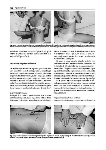 Metodo Maigne . Medicina Ortopedica Manual .dolor De Origen