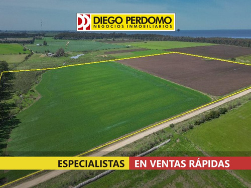 16 Ha En Venta, Próximo A Balneario Kiyú