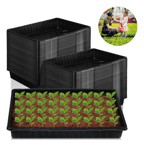 10 Pack Bandeja Germinación Hidroponía Forraje Sin Agujeros