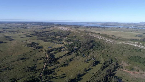 Chacra En Venta - 4 Dormitorios 4 Baños - Cocheras - 60.000mts2 - Punta Ballena, Punta Del Este