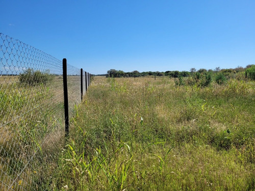 Imagen 3 de 18 de Lote En Venta 826m2 En La Pampeana, Sobre E53, Excelente Entorno Y Vistas.