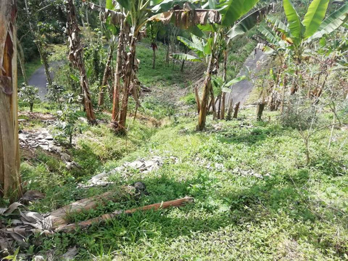 Imagen 21 de 30 de Vendo Finca En Avenida Condina Precio De Oportunidad
