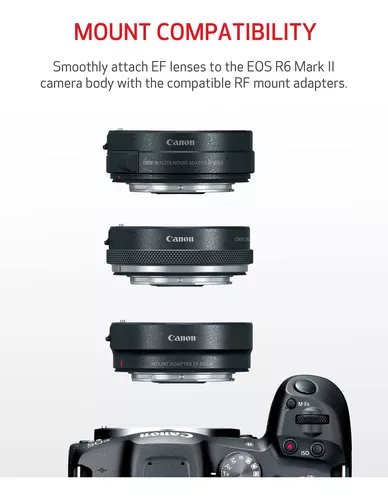 Canon EOS R6 Mark II - Cámara sin espejo de fotograma completo (solo  cuerpo) - Fotografía fotográfica y video - 24.2MP, CMOS, disparo continuo 