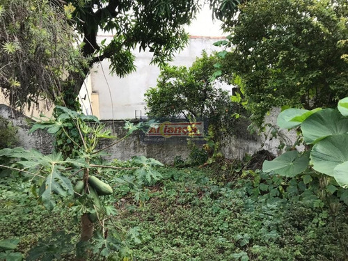 Terreno À Venda, 375 M² Por R$ 800.000 - Lauzane Paulista - São Paulo/sp - Cód. Te0526 - Ai14277