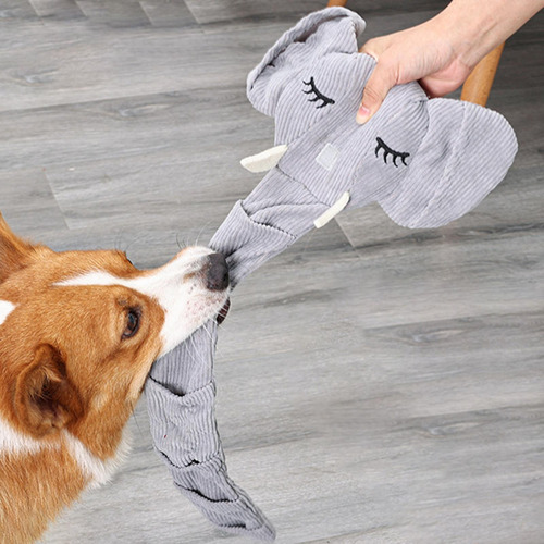 Dog Sniff Ball Training Juguete Educativo Juguete