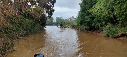 Imagen 6 de 29 de Oportunidad Liquido Lote Isla Delta San Fernando