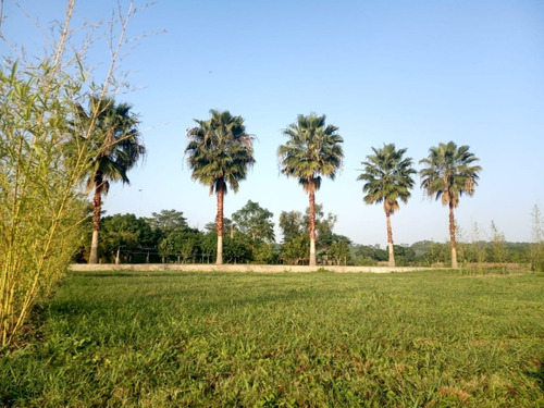 Imagen 6 de 19 de Lotes En Tuxpan Veracruz (lotes Residenciales En Chomotla )