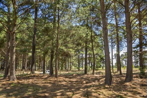 Imagen 6 de 10 de Lote De Muy Bien Ubicado En Pinares Country Golf - Etapa I