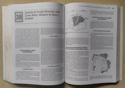 Livro Fisiologia Humana E Mecanismos Das Doenças Guyton E Hall 1998 Edição 6 (Usado)