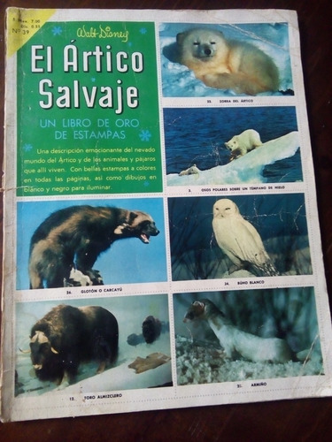 Álbum Libro De Oro El Ártico Salvaje Walt Disney Novaro 1961