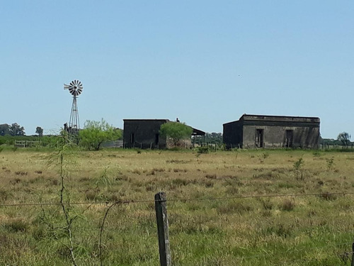 Imagen 7 de 9 de Campo - Villa Soriano