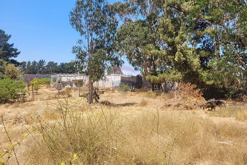 Inversión Ideal: Gran Terreno En Algarrobo,