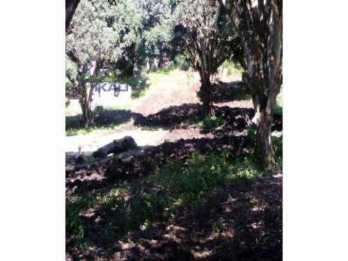 Imagen 5 de 11 de Terreno En Venta Carr. Costera Del Golfo Km. 149.5 Catemaco Veracruz 5000 M². Puede Fraccionarse Dependiendo De Las Necesidades Del Interesado,el Precio Por Metro Cuadrado Es De $500.00 Pesos. Está U