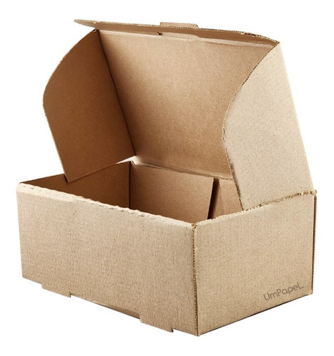 Caja Para Hamburguesas 24x14x9  X100 Unidades