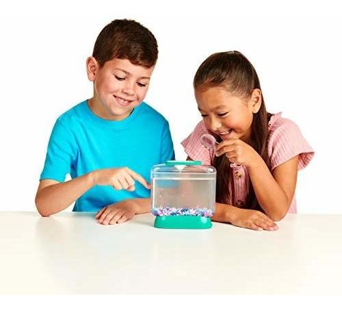 Juego De Ingenio Little Live Aqua Dragons - Deep Sea Habitat