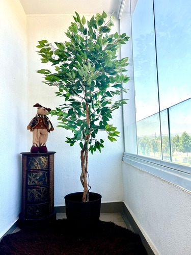 Planta Artificial Ficus Premium 180 Cm 1288 Hs/ Arbusto Real