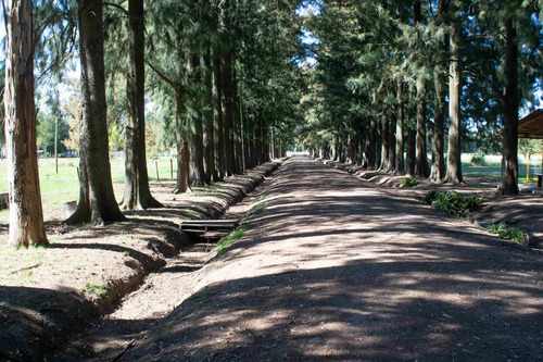 Venta Excepcional Predio De 23 Hectareas