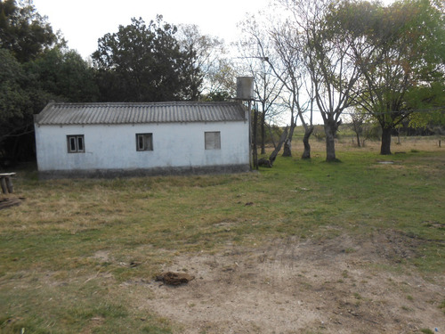 Imagen 2 de 12 de Vendo Linda Chacra Casa A Reciclar, Galpón Y Costa Cañada Cardozo
