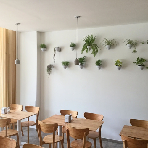 Maceta Con Soporte De Pared