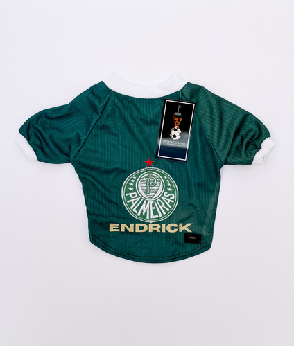 Roupa P/ Cachorro Palmeiras Verde - Endrick