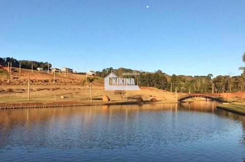 Terreno Para Venda - 02950.6021