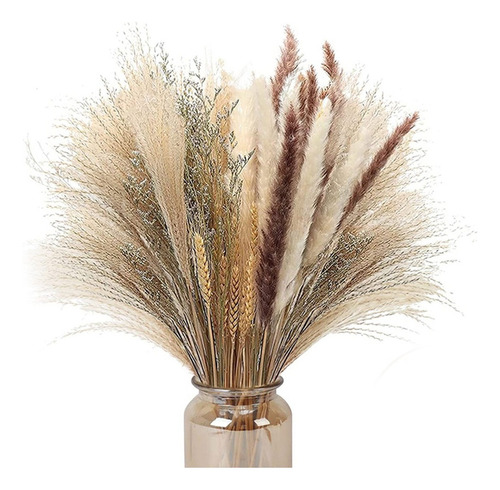 70 Peças De Decoração Natural De Capim De Pampas, Capim-pamp