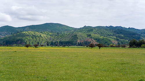 Imagen 9 de 15 de Hacienda Los Coipos
