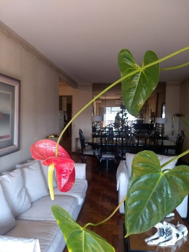 Imagen 13 de 14 de Semipiso En Venta En Avellaneda Oeste