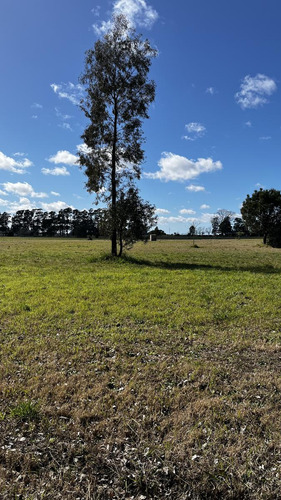 General Madariaga Lote Con Financiación En Country La Victoria Con Salida A Dos Calles