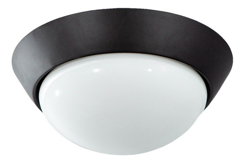 Lámpara De Techo Negro 60w E27 1 Luz