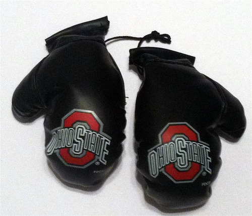 Ncaa Ohio State Buckeyes Mini Guantes De Boxeo  Talla Unica