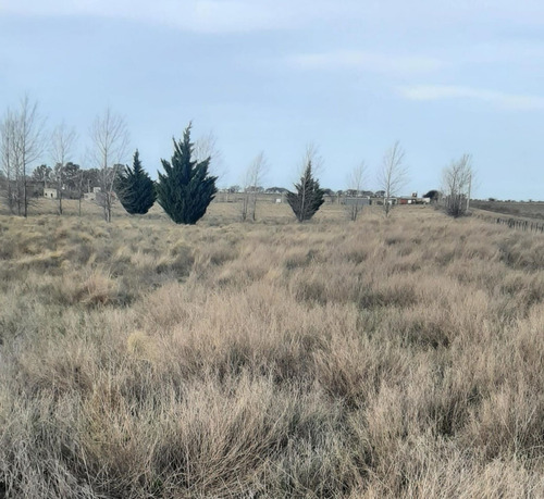 Terreno En Lemú Cuyen - Ataliva Roca - La Pampa