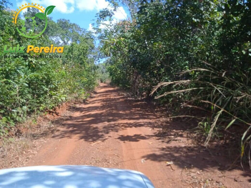 Imagem 1 de 11 de Fazenda À Venda No Vale Do Araguaia - To - Espetacular Para Soja - 1815